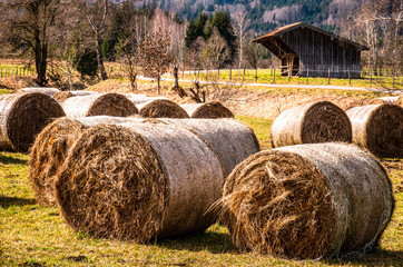 landscape near benediktbeuern - bavaria