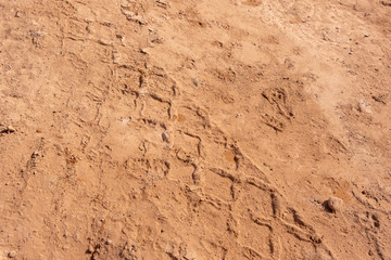 Marrakesh City in Morocco
