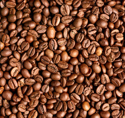 coffee bean brown roasted caffeine espresso seed