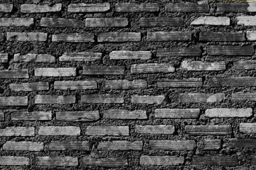 Fototapeta premium the background from the old wall with black and white style