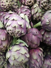 artichoke on green background