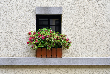 Fototapeta na wymiar Potted plants on the windowsill of villa building