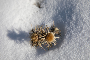 road and forest views from erciyes mountain