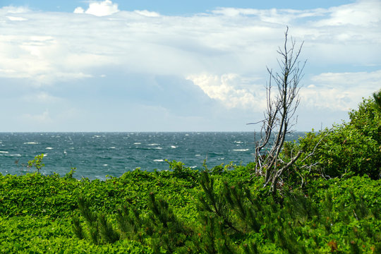Bornholm - K&uuml;ste bei Hasle