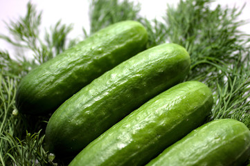 Gurken und Dill