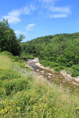 Clouds in the sky over the Deerfield River at Green Mountain National Forest at Searsburg, Vermont