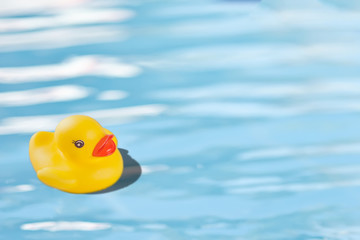 Yellow Rubber duck float in a water.