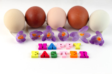 Easter composition with easter eggs, spring flower Saffron crocus and colorful text Happy easter. Greeting card.