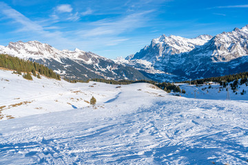 Fototapeta na wymiar Winter landscape with snow Swiss Alps from Mannlichen mountain in Grindelwald ski resort. Winter in Switzerland