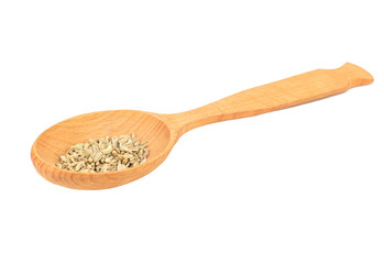 Dry fennel in spoon