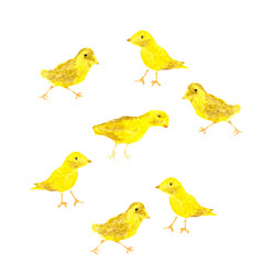 Pattern with small birds, chickens. Created on the basis of a watercolor drawing. The concept for textiles, paper, a wide range of applications.