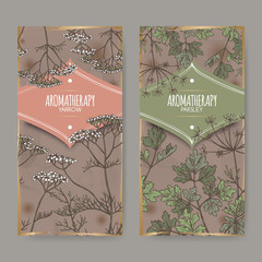 Two color labels with Yarrow aka Achillea millefolium and Parsley aka Petroselinum crispum sketch on vintage background.