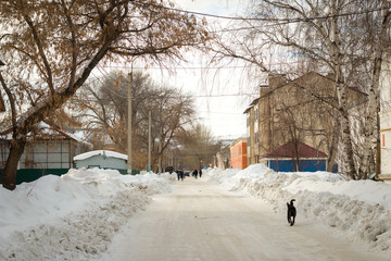 buildings on the street in winter