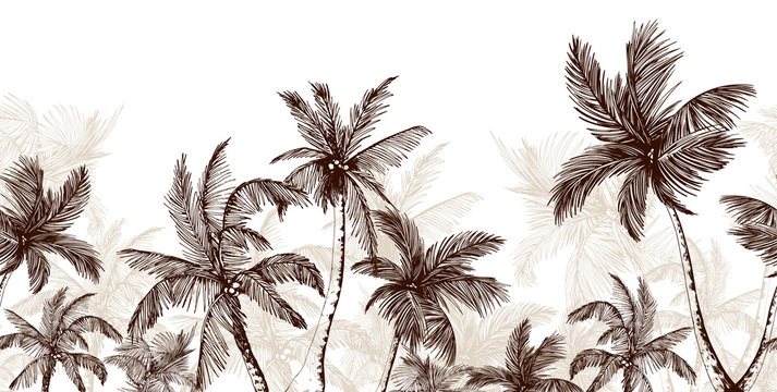 Endless horizontal scenery with palm trees