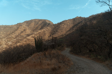 montaña desértica con pocos arboles y cielo azul