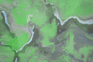 Peeling and faded green paint on the plaster.