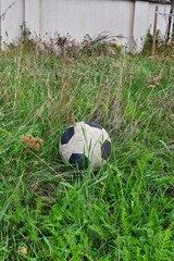 piłka w trawie, sport