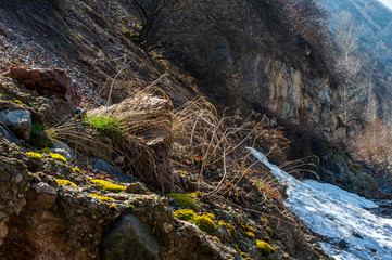 Spring in the mountains