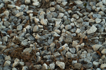 rocas blancas grises con hojas