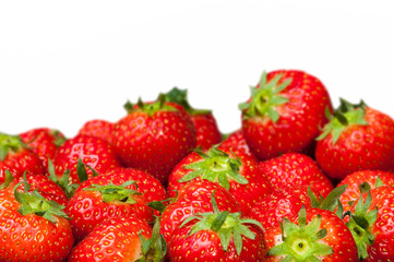 Harvested garden strawberries (Fragaria × ananassa) in summer against white background