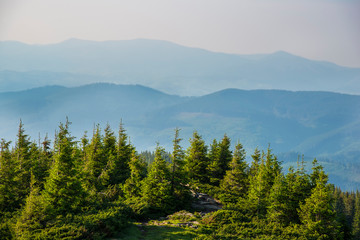 Carpathian mountains landscape