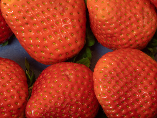 freshly harvested strawberries, closeup