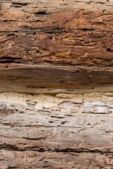 Texture od wooden planks. Wall made of antique wood. Raw wood after century. Wood damaged by bark beetles.