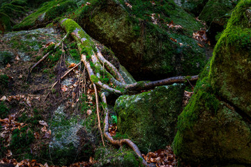 a hike through the wild Ysperclammy