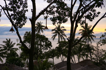 Sonnenuntergang und Palmen