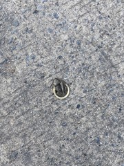 condom