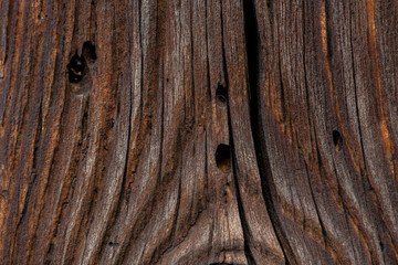 Texture od wooden planks. Wall made of antique wood. 