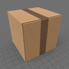 Closed carton box 2
