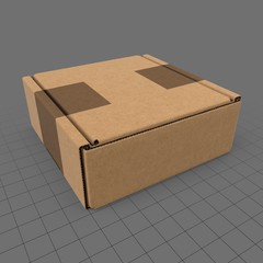Closed carton box 3