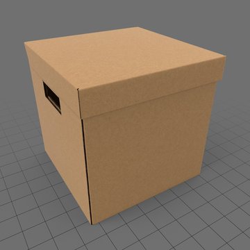 Closed carton box 1