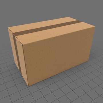 Closed carton box 4