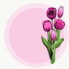 Vector card with lovely spring flowers, pink tulips. Print, backfround, walpaper. Card, greeting, template.