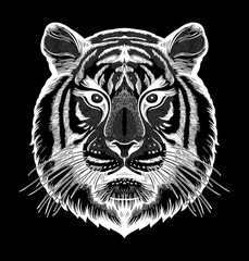 Tiger portrait. Dreamy magic art. Power symbol . Isolated vector illustration. Great outdoors, tattoo and t-shirt design.