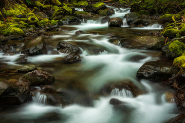 Fototapeta na wymiar Tumble creek flowing through the forest