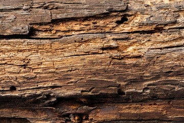 Texture od wooden planks. Wall made of antique wood. Raw wood after century.