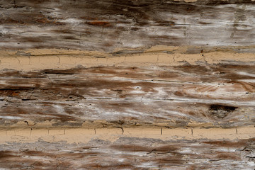 Naklejka premium Texture od wooden planks. Wall made of antique wood. Raw wood after century.