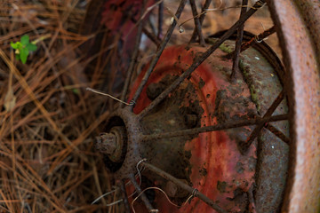 Red old wheel and rusty spokes close-up