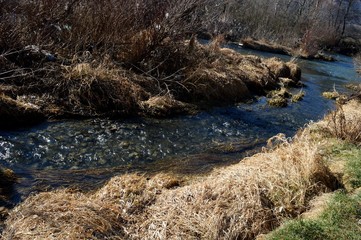 river and coast in spring