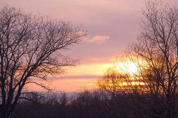 Fototapeta na wymiar winter landscape sunset yellow sun in the clouds
