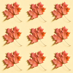Naklejka na ściany i meble Seamless background with the red maple leaves on beige paper. Autumn foliage pattern