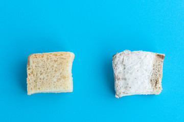 choice between  piece of white bread and  piece of  bread covered with black mold lies on a blue background, wrong storage of goods, unhealthy food