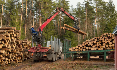 Loading, unloading wood. Logging and transportation. Transport logging and forest industry.