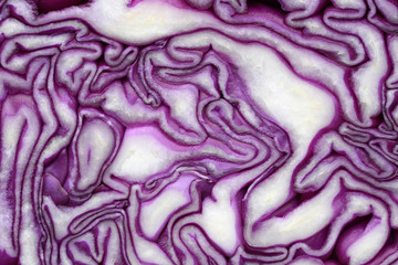 Obraz premium Macro red cabbage detail in violet-white colors, background texture.
