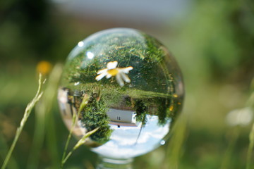 Colorful glass balls photographed in studio with macro