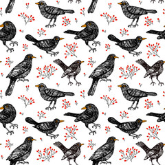 Blackbird pattern vector berry  - obrazy, fototapety, plakaty