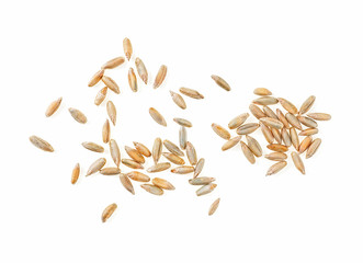 Closeup of rye grain isolated on a white background, top view.